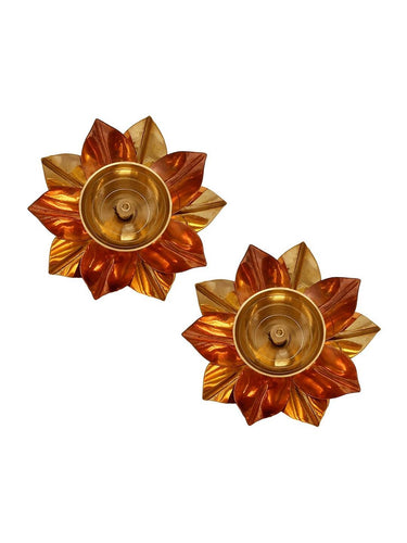 https://cdn.shopify.com/s/files/1/1857/6931/products/3MsR2FcXGE.jpg?v=1706179453